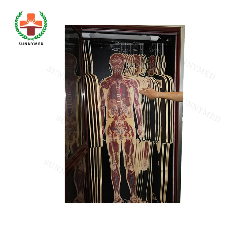 Sy-Yu01 High Techonogy 3D Virtual Autopsy Table Virtual Anatomy Table for University