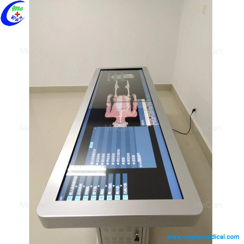 Virtual Autopsy Table Digital Human Anatomy System