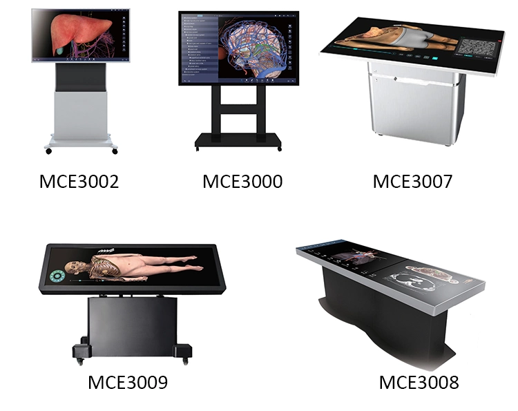 3D Anatomy Table HD Digital Human Virtual Anatomy Table System