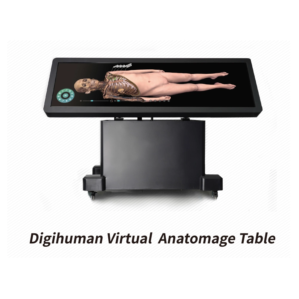 3D Human Body High-Resolution Virtual Anatomy Digihuman Virtual Dissection Table