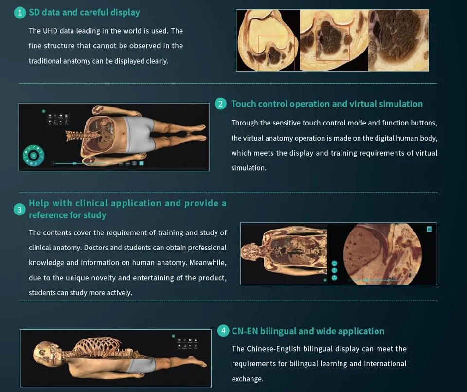 Fashion New Digital Human Anatomy System Anatomage 3D Body Virtual Autopsy Table